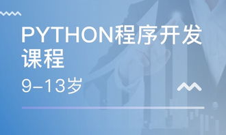 重庆南坪软件开发培训指南 课程、选择与职业发展